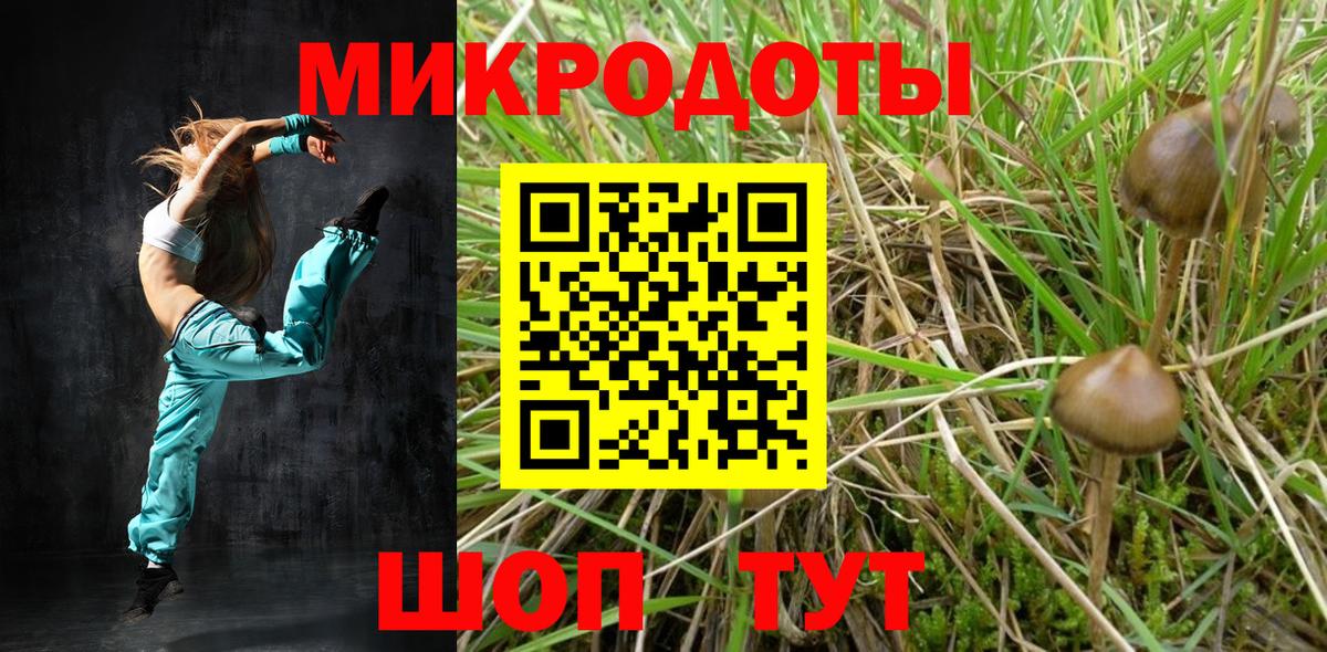 Псилоцибиновые грибы Psilocybe Благодарный